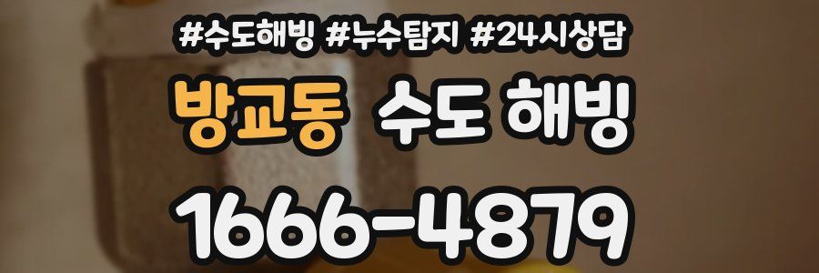 방교동 수도 해빙