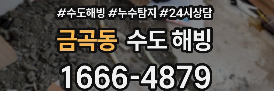 금곡동 수도 해빙