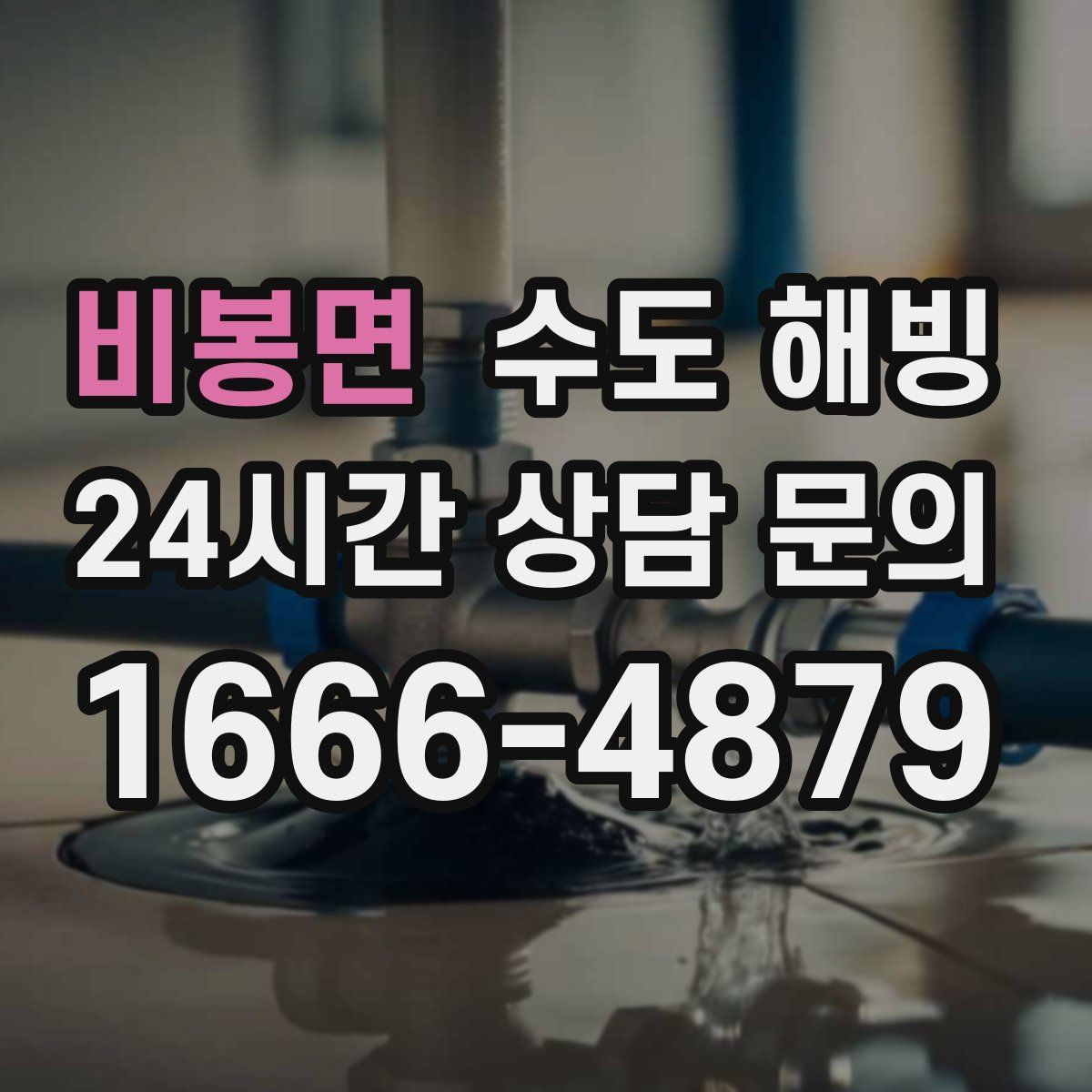 비봉면 수도 해빙