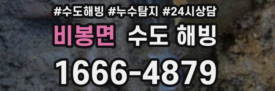 비봉면 수도 해빙