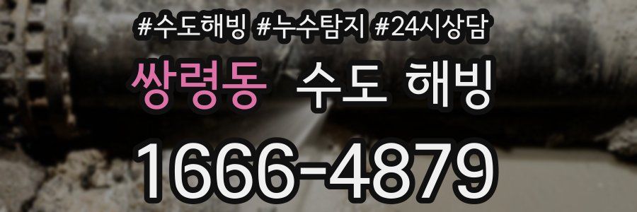 쌍령동 수도 해빙