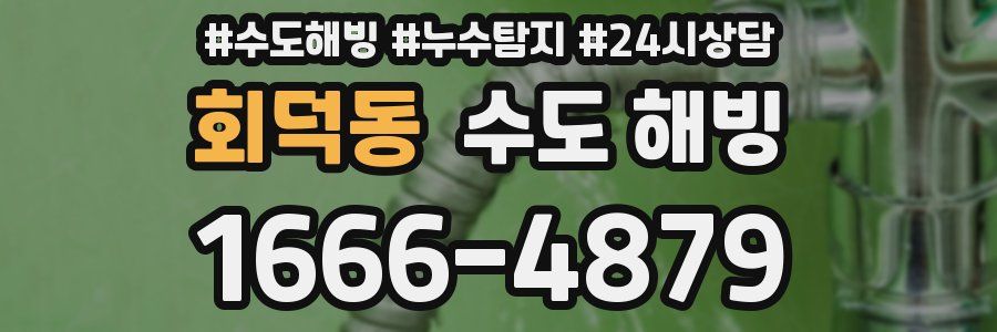 회덕동 수도 해빙