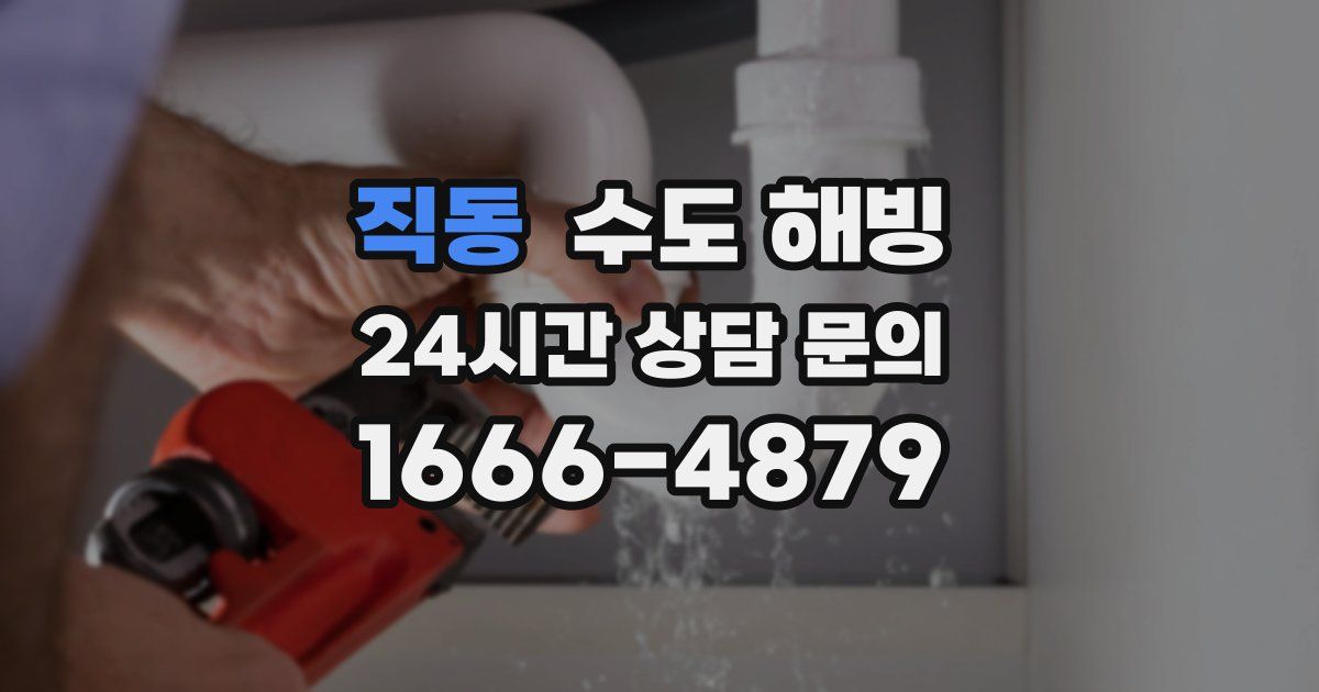 직동 수도 해빙