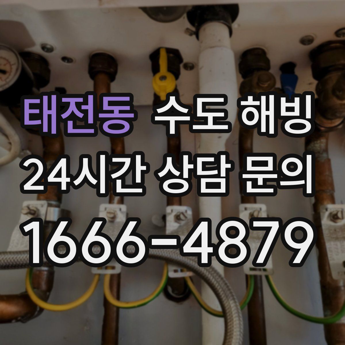 태전동 수도 해빙