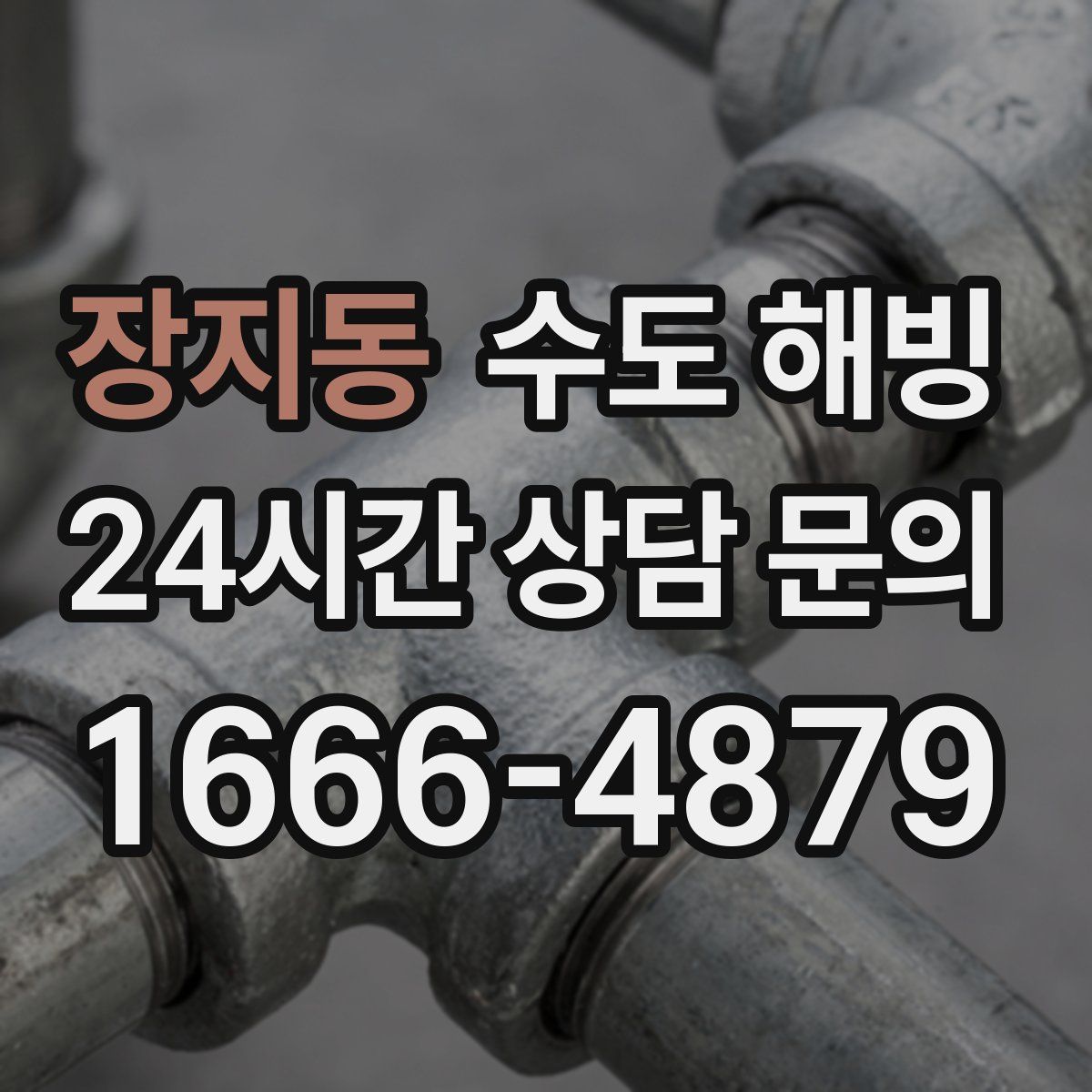 장지동 수도 해빙