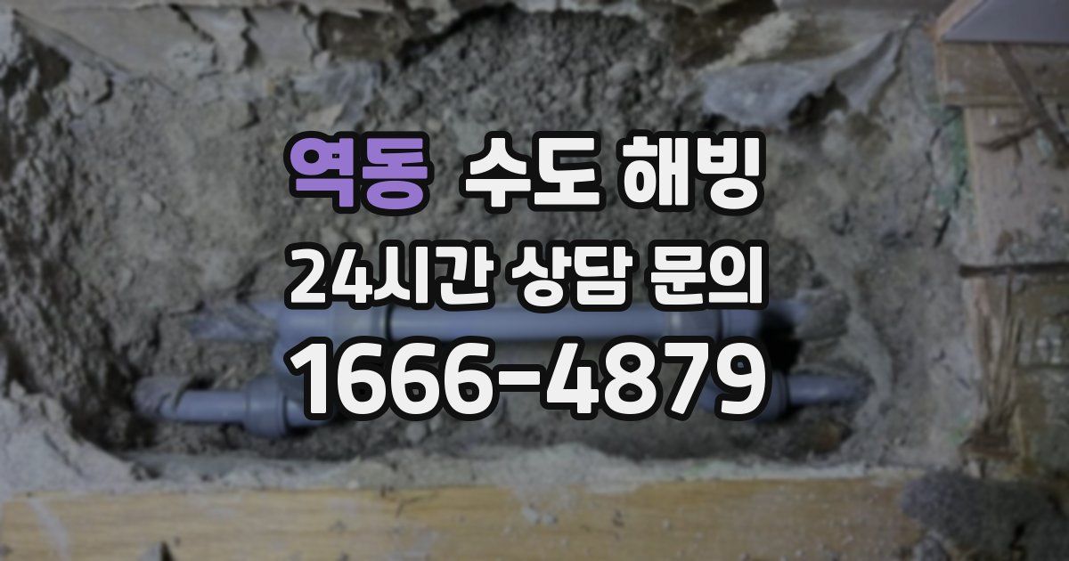 역동 수도 해빙