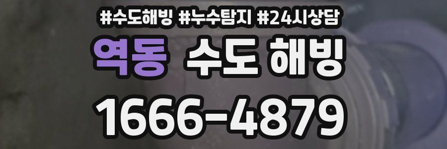 역동 수도 해빙