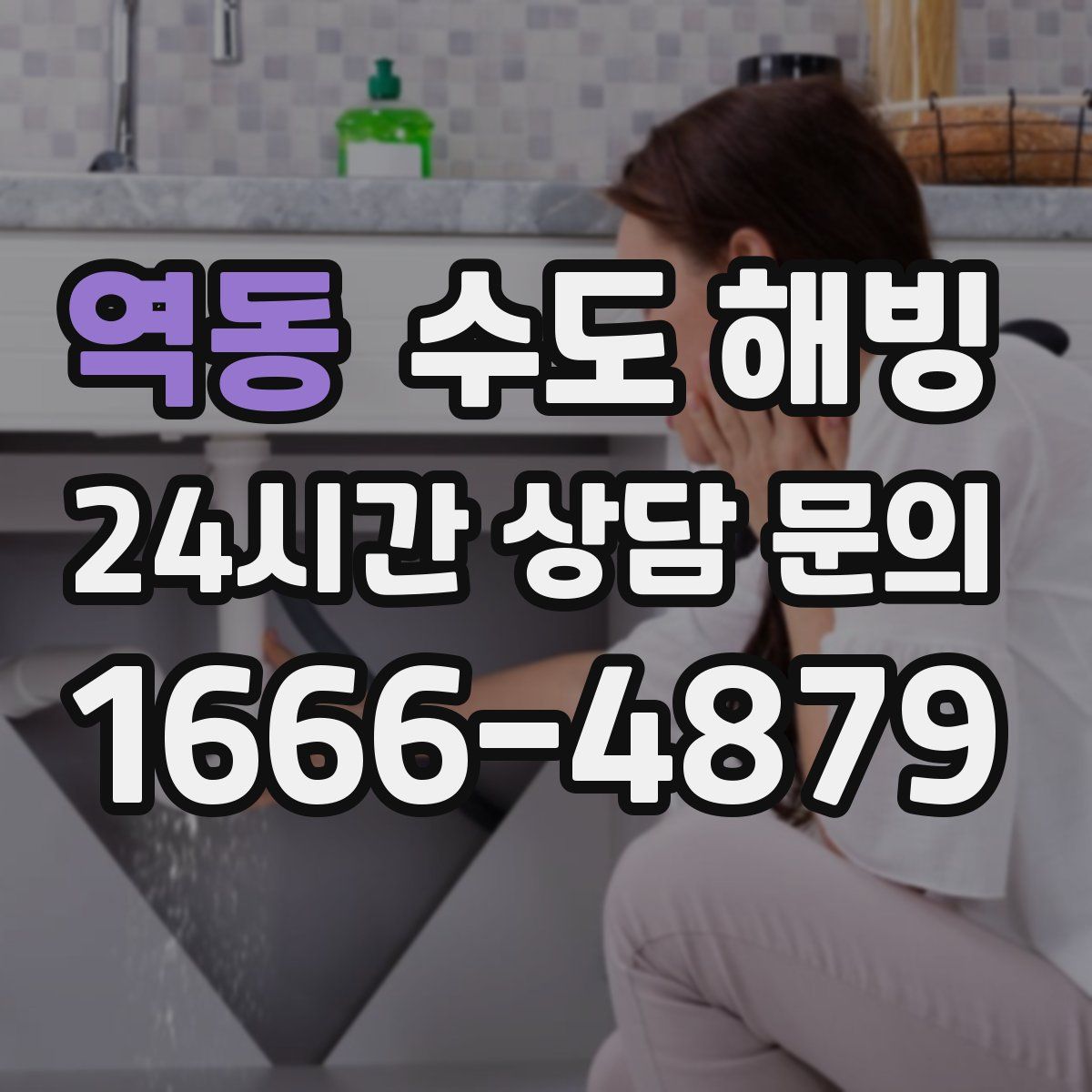 역동 수도 해빙