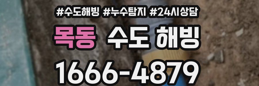 목동 수도 해빙