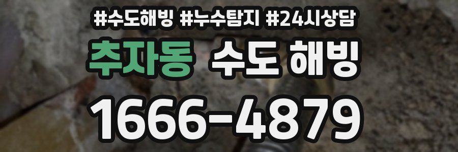 추자동 수도 해빙