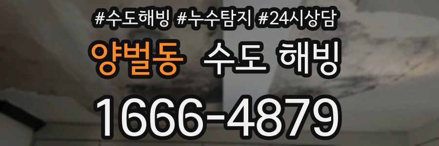 양벌동 수도 해빙