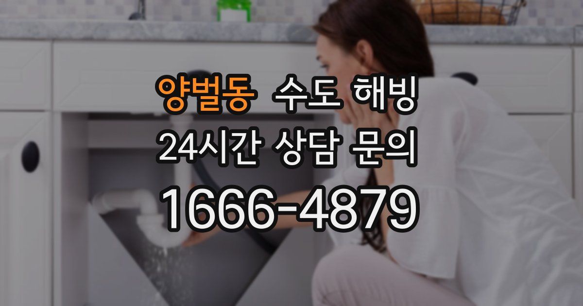 양벌동 수도 해빙