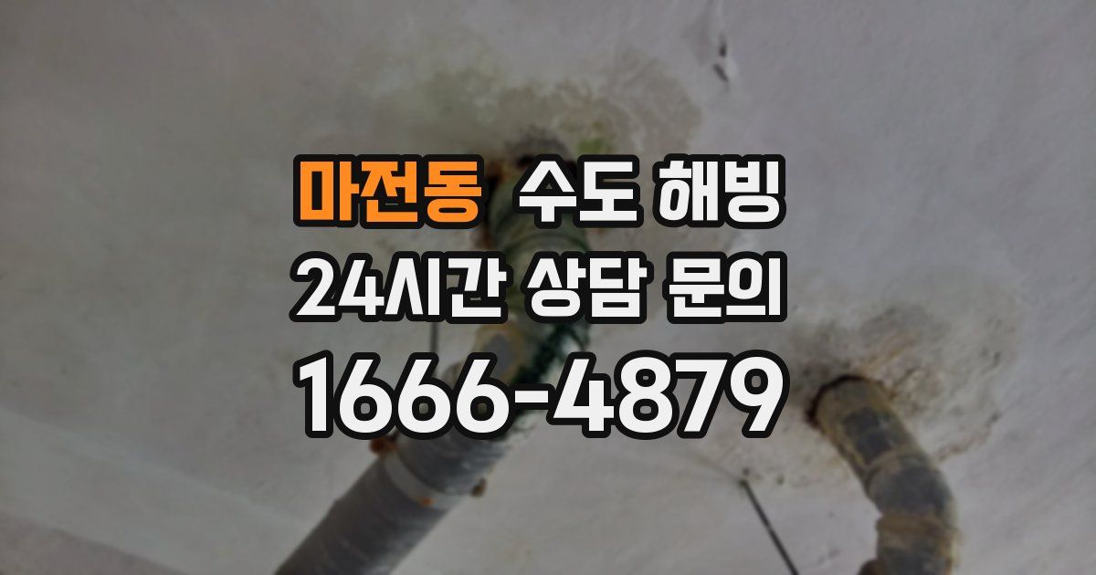 마전동 수도 해빙