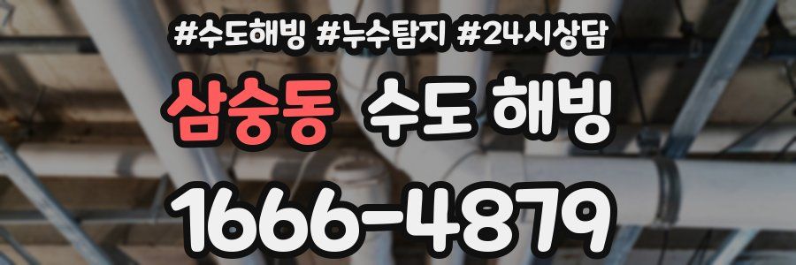 삼숭동 수도 해빙