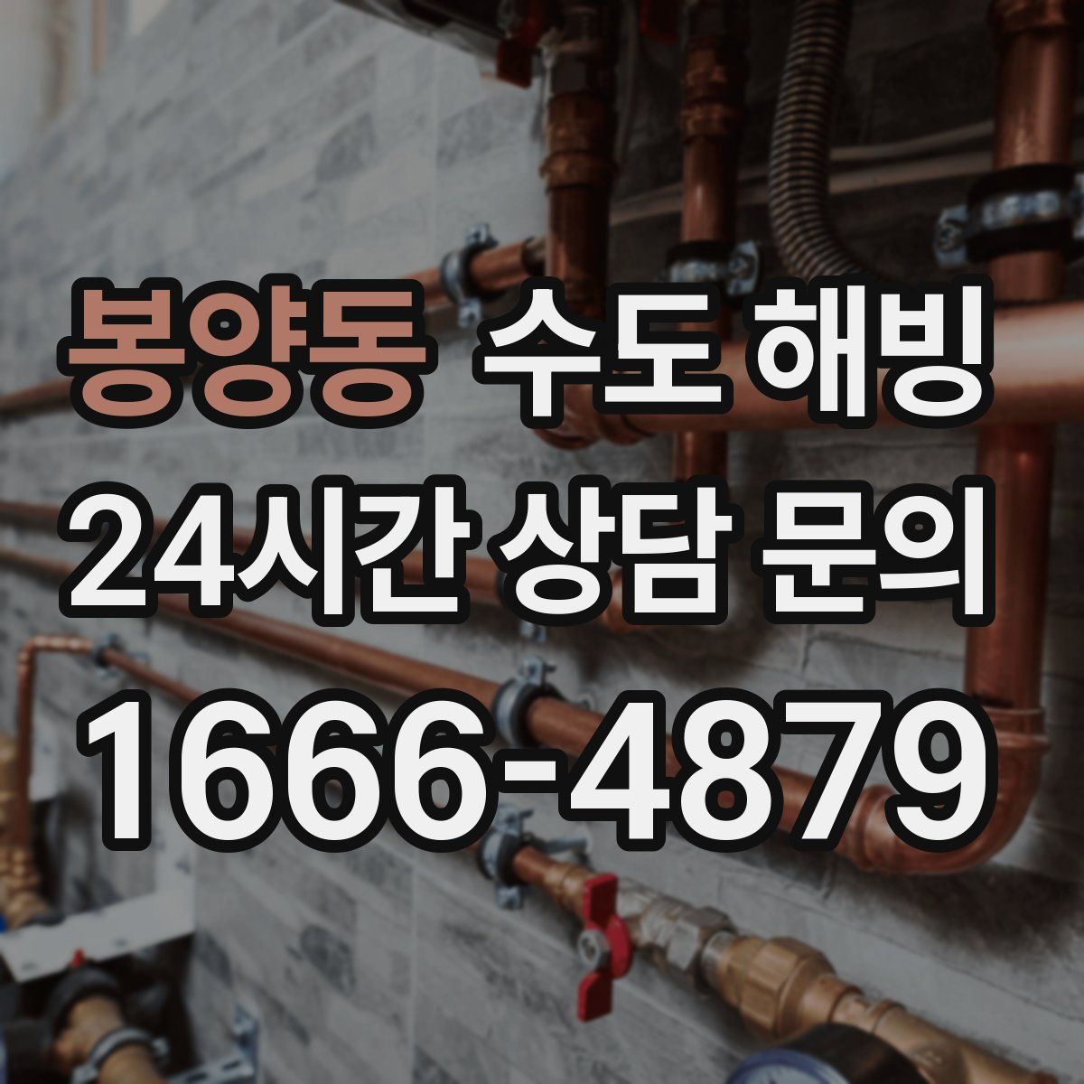 봉양동 수도 해빙