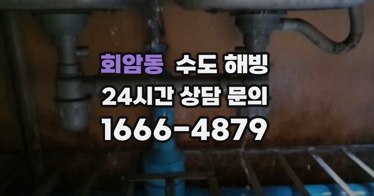 회암동 수도 해빙