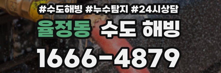 율정동 수도 해빙