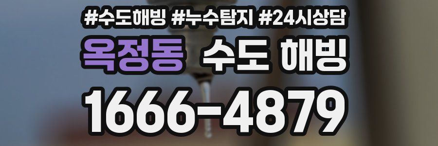 옥정동 수도 해빙