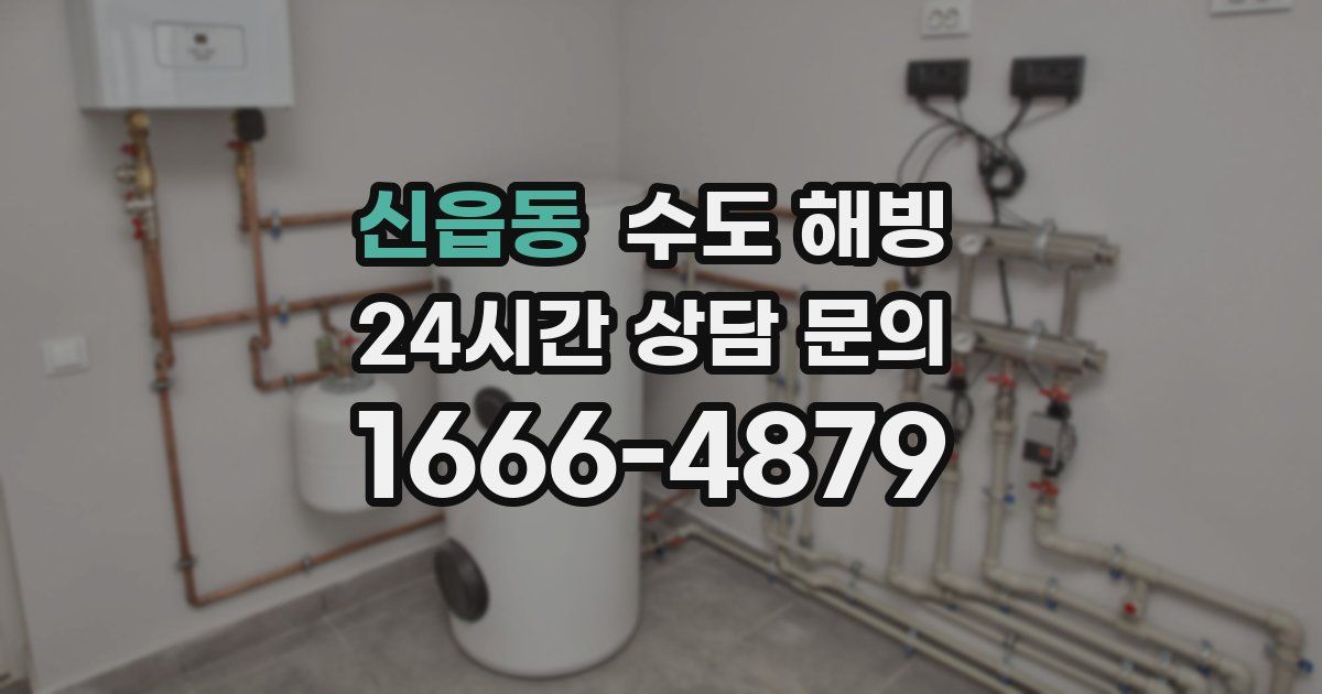 신읍동 수도 해빙