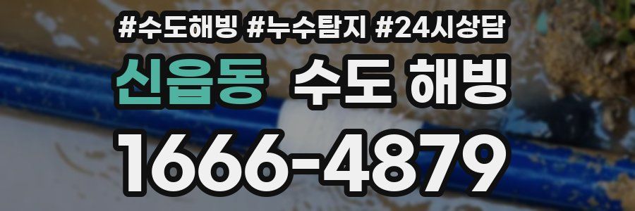 신읍동 수도 해빙