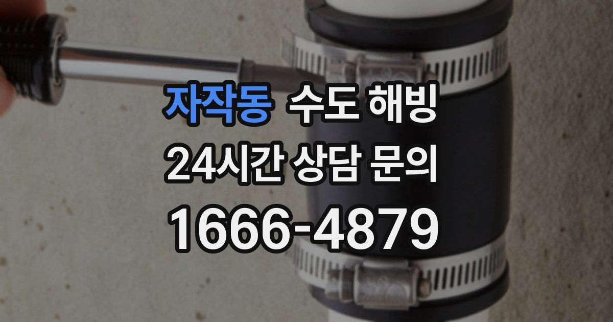 자작동 수도 해빙