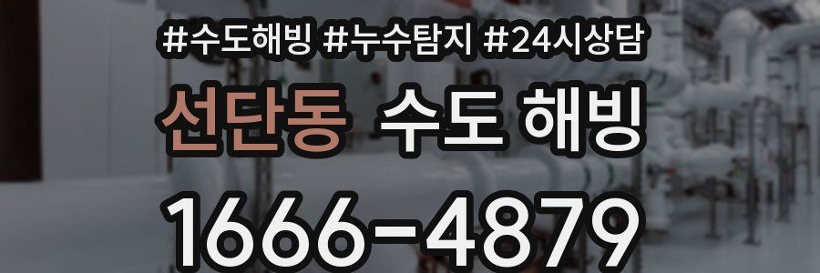 선단동 수도 해빙