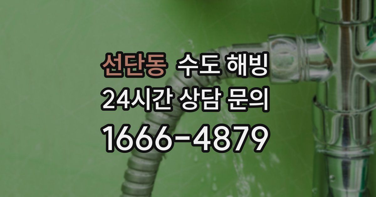 선단동 수도 해빙