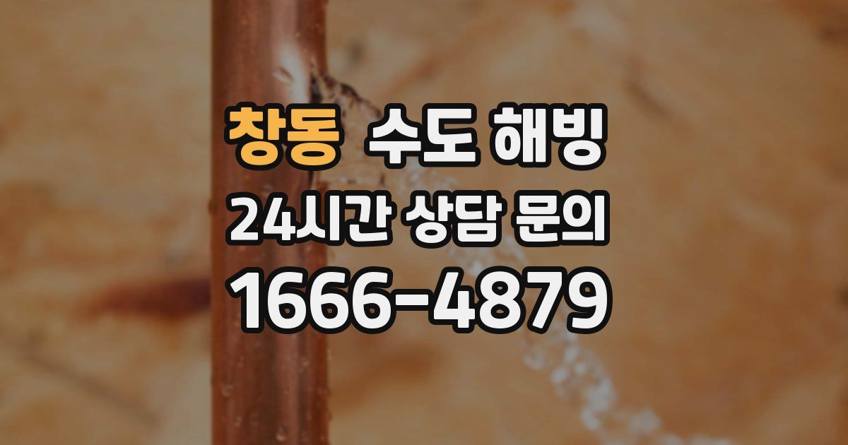 창동 수도 해빙