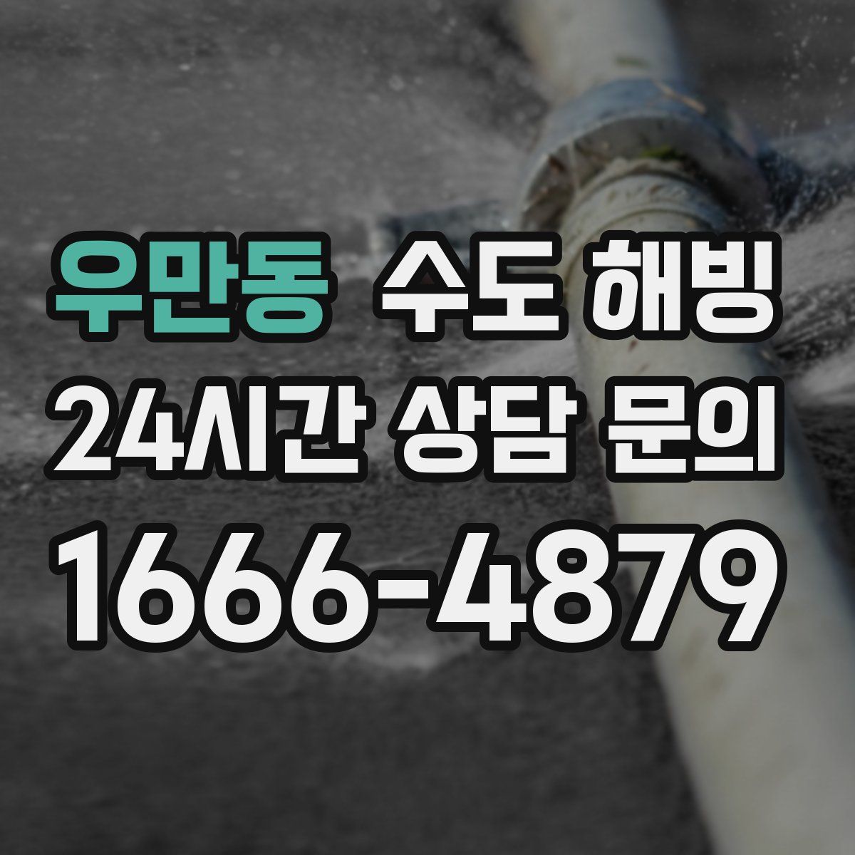 우만동 수도 해빙