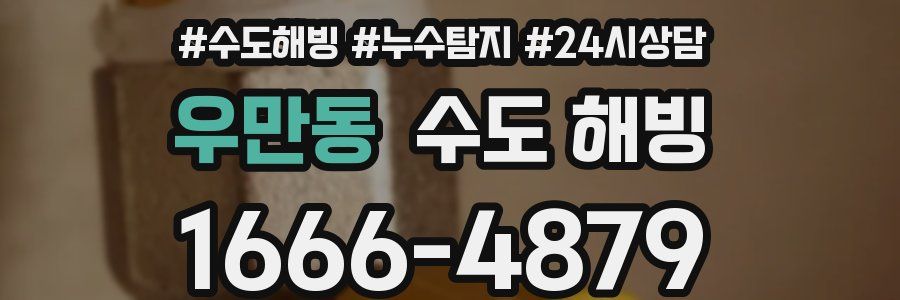 우만동 수도 해빙