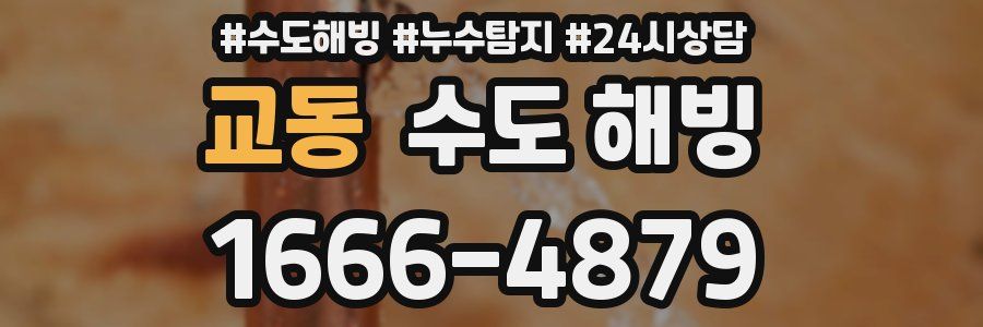 교동 수도 해빙