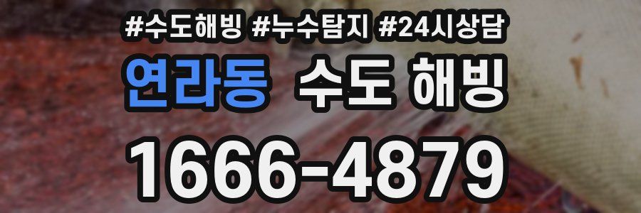 연라동 수도 해빙