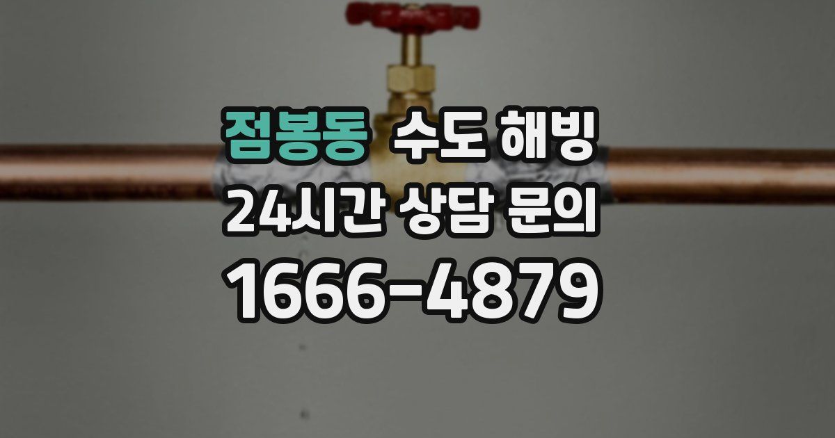 점봉동 수도 해빙