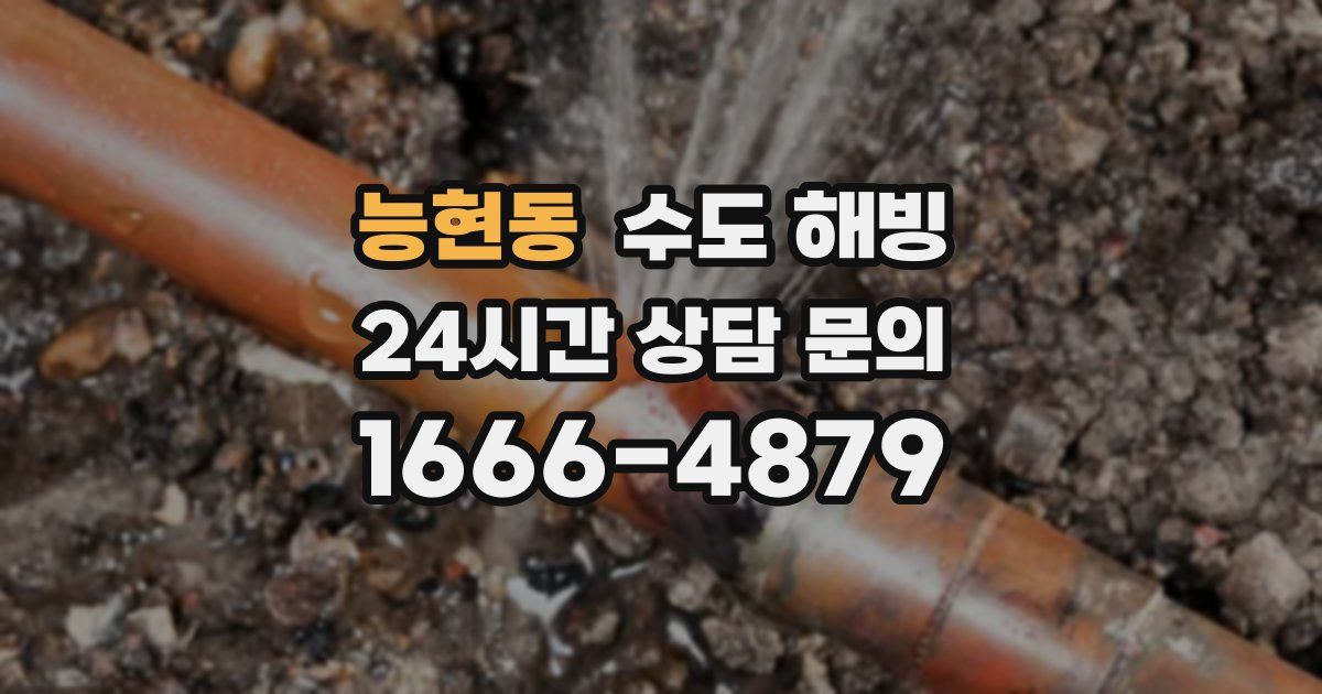 능현동 수도 해빙