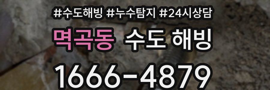 멱곡동 수도 해빙