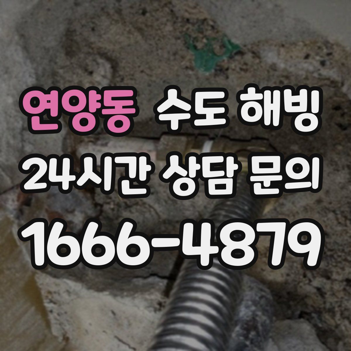 연양동 수도 해빙