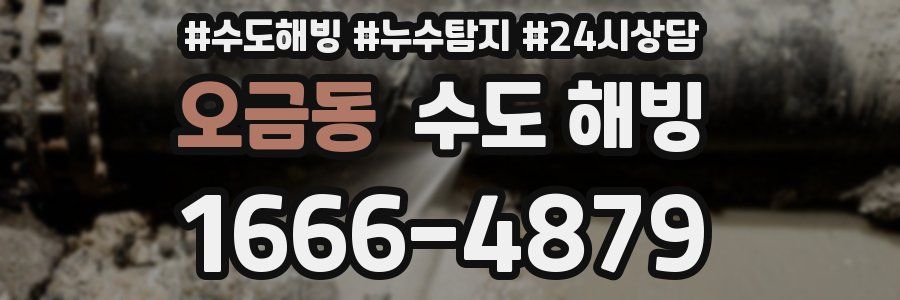 오금동 수도 해빙
