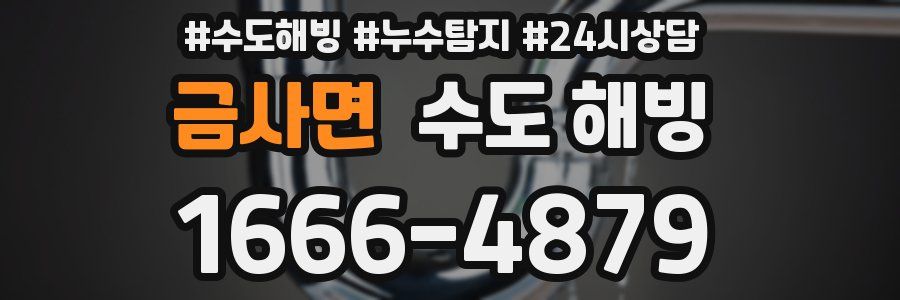 금사면 수도 해빙