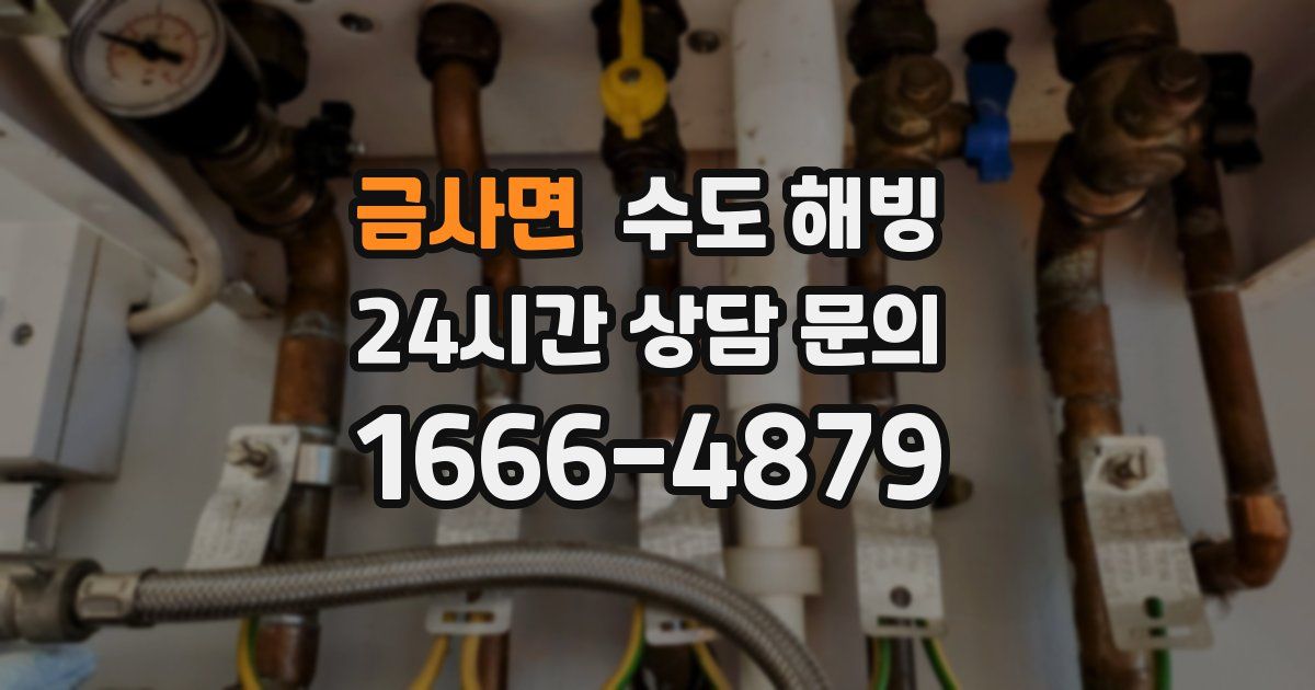 금사면 수도 해빙