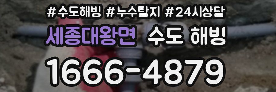 세종대왕면 수도 해빙