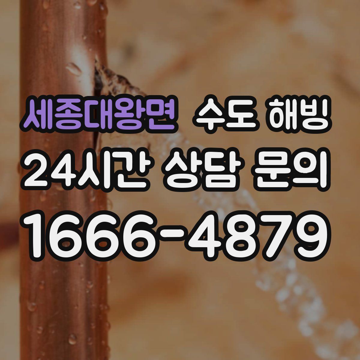 세종대왕면 수도 해빙