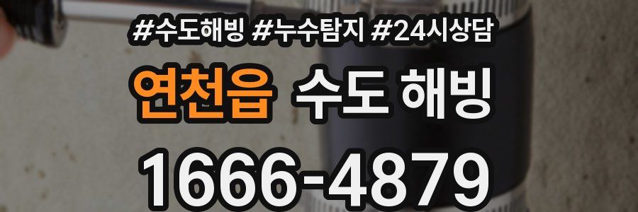 연천읍 수도 해빙