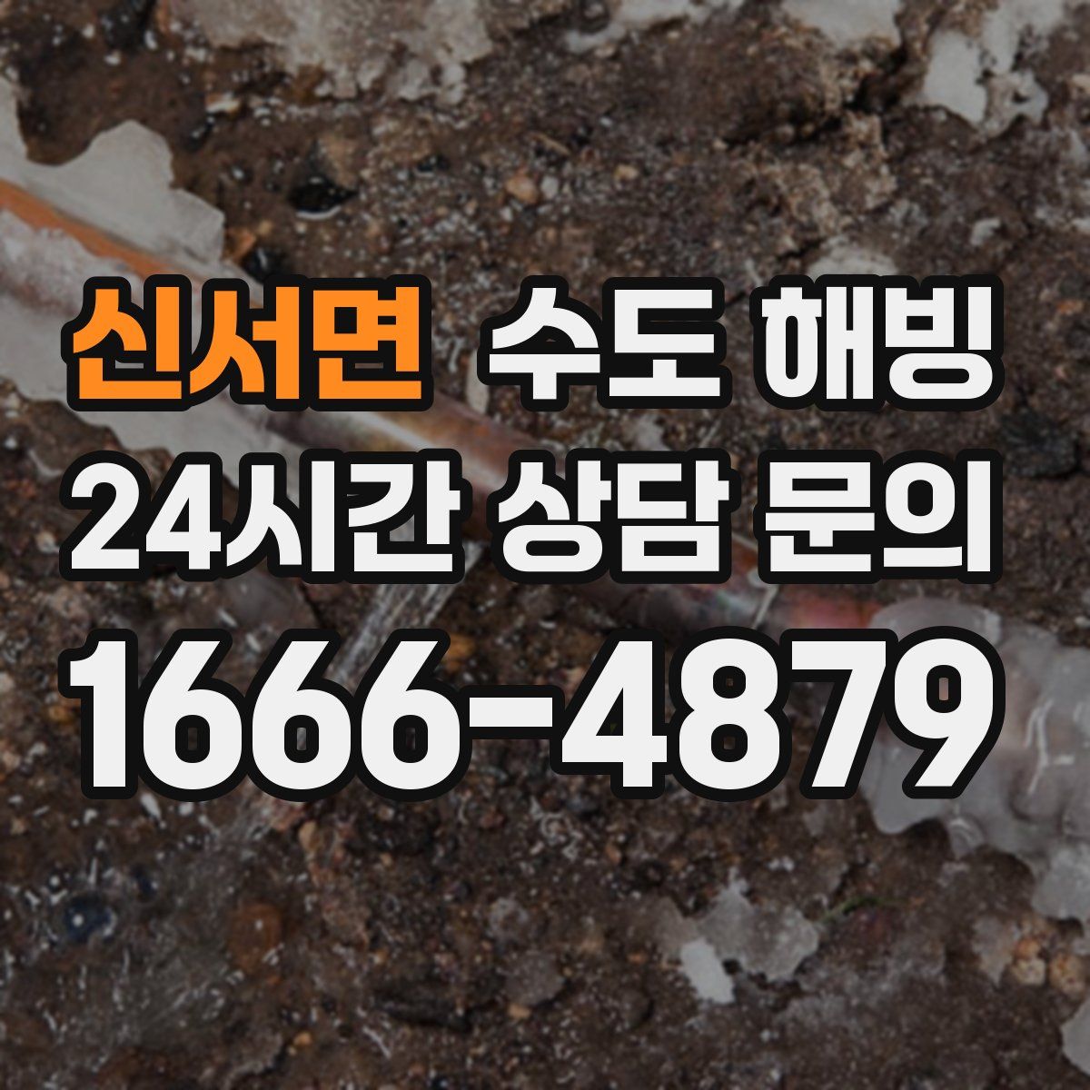 신서면 수도 해빙