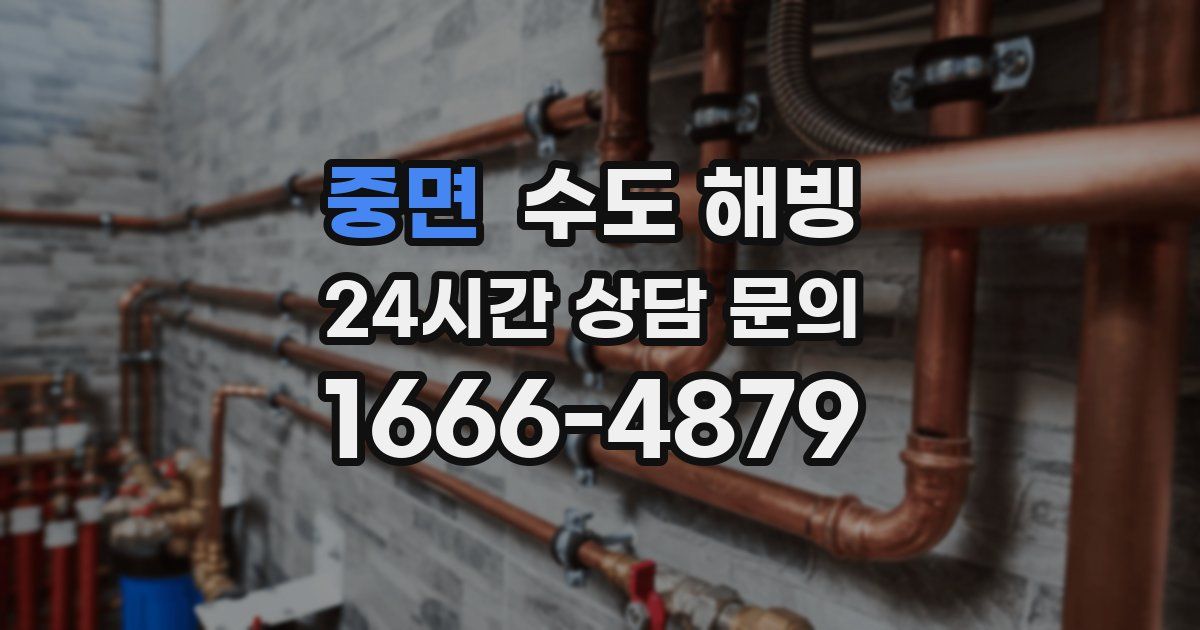 중면 수도 해빙