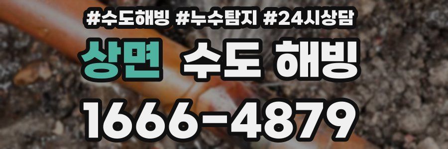 상면 수도 해빙