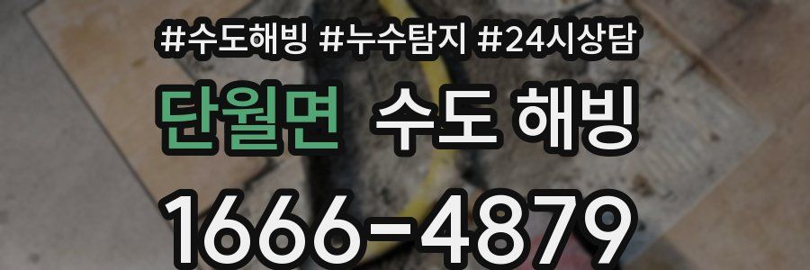 단월면 수도 해빙