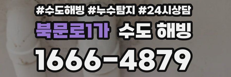 북문로1가 수도 해빙