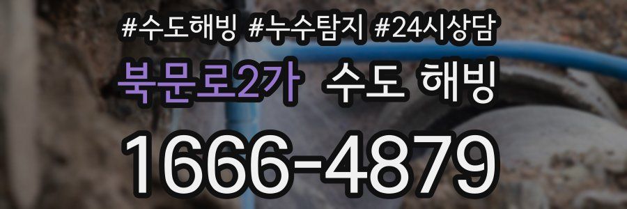 북문로2가 수도 해빙