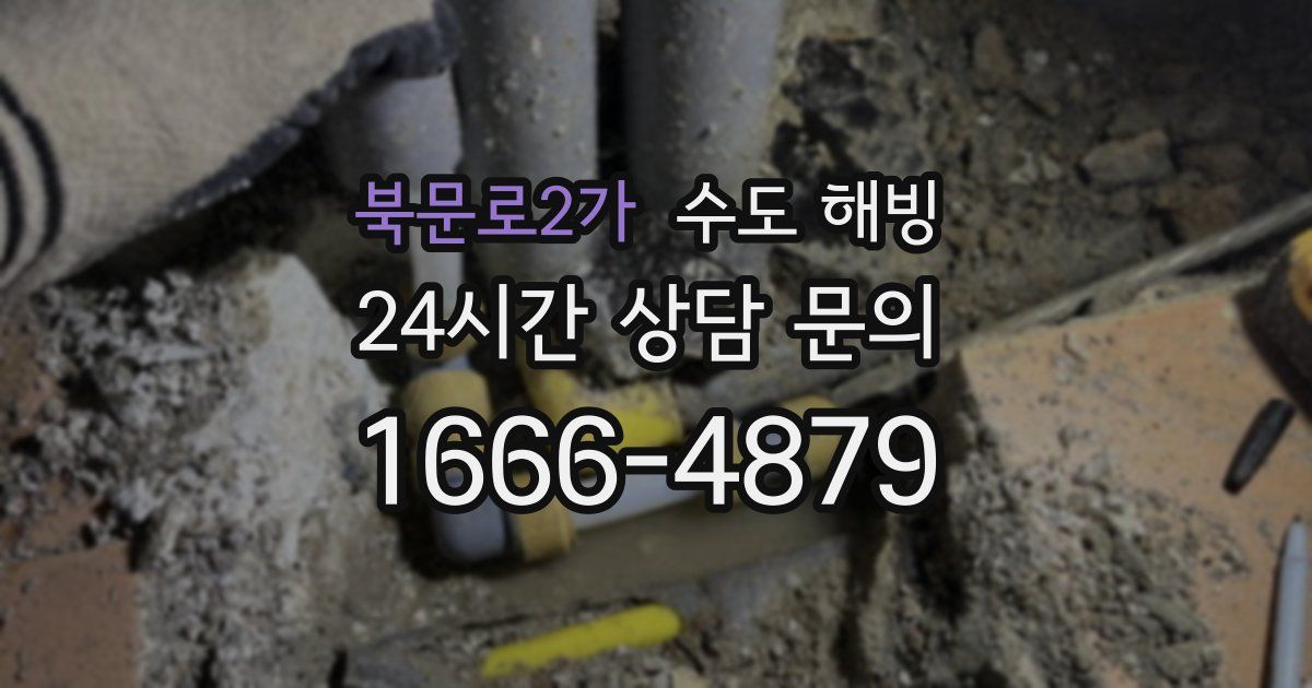 북문로2가 수도 해빙