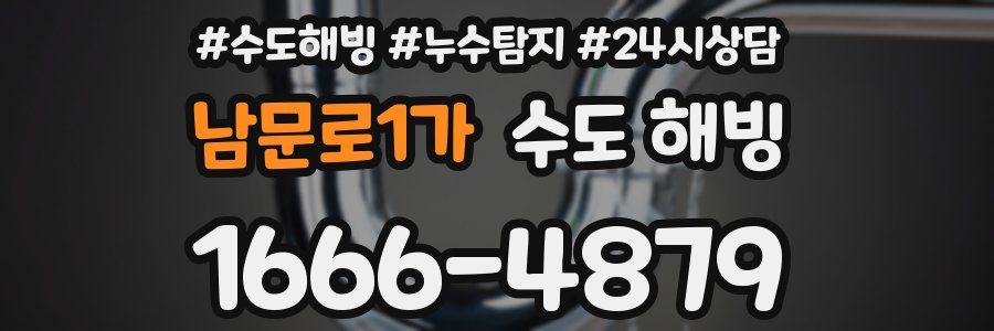 남문로1가 수도 해빙